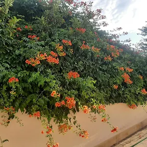 Bed & Breakfast The Orange Groove